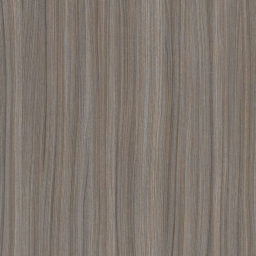 A435 - FLORİDA
